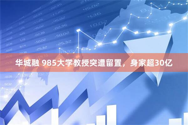华城融 985大学教授突遭留置，身家超30亿