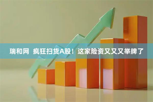瑞和网  疯狂扫货A股！这家险资又又又举牌了