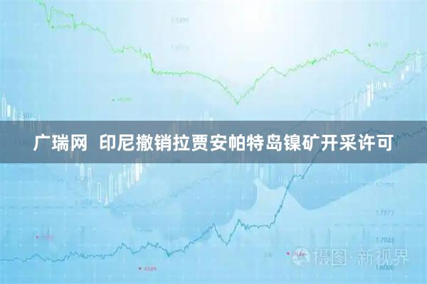 广瑞网  印尼撤销拉贾安帕特岛镍矿开采许可