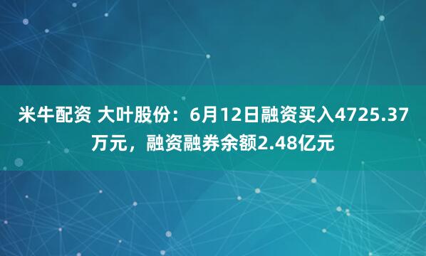 米牛配资 大叶股份：6月12日融资买入4725.37万元，融资融券余额2.48亿元