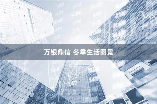 万银鼎信 冬季生活图景