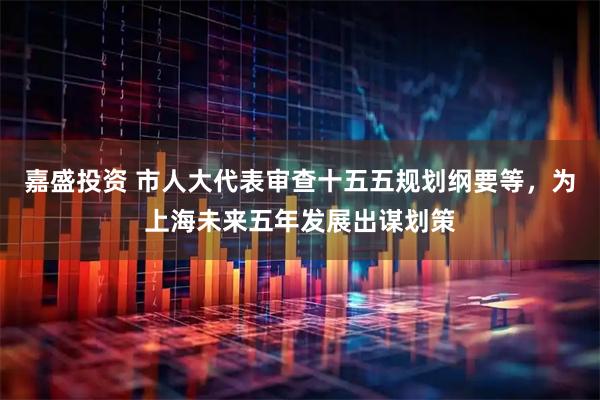 嘉盛投资 市人大代表审查十五五规划纲要等，为上海未来五年发展出谋划策